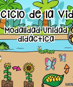 UNIDAD DIDACTICA EL CICLO DE LA VIDA