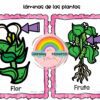 Centro de interés. La magia de la primavera, sol, lluvia y vida nueva 6 Dos tarjetas ilustradas de