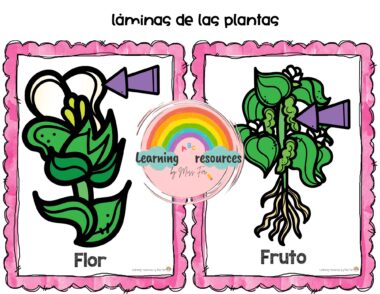 Centro de interés. La magia de la primavera, sol, lluvia y vida nueva - Image 2