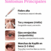 Proyecto “Nos informamos para prevenir ¡El Sarampión!” PRIMARIA NEM (2026-2027) 71 Vista previa 36 de Proyecto “Nos informamos para prevenir ¡El Sarampión!” PRIMARIA NEM (2026-2027)