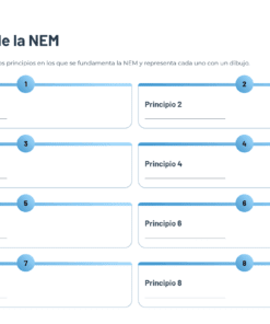 4 Principios de la NEM