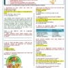 Planeaciones 4° Cuarto Grado de Primaria NEM (Ciclo Escolar Completo 2026 - 2027) + Exámenes + Fichas de Trabajo 9 Una colorida infografía educativa en español con el título