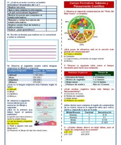 4° Grado Evaluacion Diagnostica CONTESTADO Pagina 4