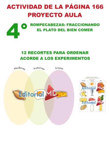 Afiche educativo titulado "ACTIVIDAD DE LA PÁGINA 166 PROYECTO AULA" para 4to grado, que explica la categorización de los alimentos con un diagrama de Venn denominado "Almidones, Proteínas, Grasas" y que presenta 12 ilustraciones de alimentos para clasificar.