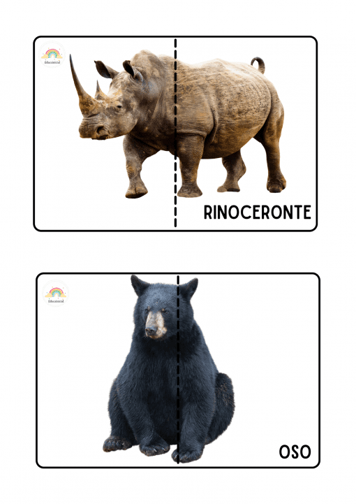 La imagen es un Rompecabezas de animales salvajes que muestra dos animales salvajes. La tarjeta superior presenta un rinoceronte con la etiqueta "Rinoceronte", dividido por la mitad como un rompecabezas. La tarjeta inferior muestra un oso con la etiqueta "Oso", también dividido por la mitad. Ambas tarjetas tienen un logo de arcoíris con "educación" escrito debajo.