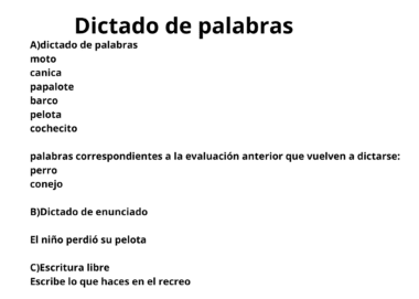 Imagen de un ejercicio de dictado en español. En él se enumeran palabras para dictar, palabras anteriores para repetir, un dictado de una oración sobre un niño que pierde una pelota y una tarea de escritura libre: "Escribe lo que haces durante el recreo".
