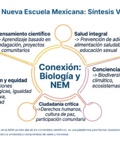 56 Biologia y Nueva Escuela Mexicana Sintesis Visual