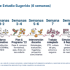 Guía de Estudio PROMOCIÓN HORIZONTAL ARTES – USICAMM 2026 – 2027 + (Simulador 90 Reactivos) 38 Calendario de 8 semanas para el curso de formación docente: marco normativo, Plan 22, intervención, trabajo en equipo y repaso.