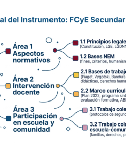 57 Mapa Visual del Instrumento FCyE Secundaria