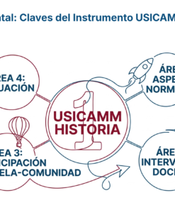 59 Mapa Mental Claves del Instrumento USICAMM Historia