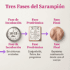 Proyecto “Nos informamos para prevenir ¡El Sarampión!” PRIMARIA NEM (2026-2027) 62 Vista previa 27 de Proyecto “Nos informamos para prevenir ¡El Sarampión!” PRIMARIA NEM (2026-2027)