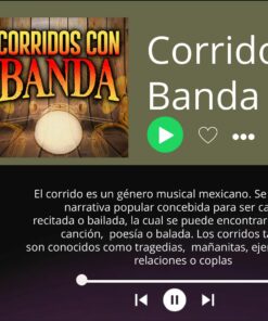 Interfaz de la aplicación Spotify que muestra una lista de reproducción titulada 