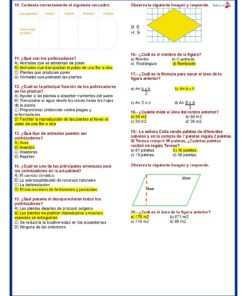 5° Grado Evaluacion 2do Periodo Pagina 4