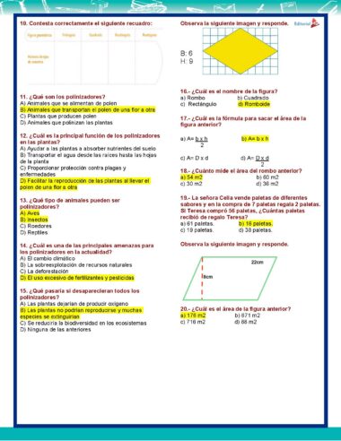 5° Grado Evaluacion 2do Periodo Pagina 4