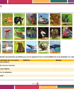 Un grid de dieciséis especies de aves diferentes con sus nombres en español. A continuación se muestra una tabla que presenta los tipos de comercialización de la naturaleza, sus definiciones y ejemplos. La tabla incluye Planeación de Diciembre de Quinto Grado de Primaria 2023 – 2024 NEM, privatización de recursos naturales, deforestación, sobreproducción de alimentos y turismo ambiental.