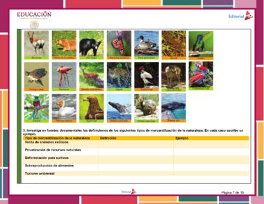 Un grid de dieciséis especies de aves diferentes con sus nombres en español. A continuación se muestra una tabla que presenta los tipos de comercialización de la naturaleza, sus definiciones y ejemplos. La tabla incluye Planeación de Diciembre de Quinto Grado de Primaria 2023 – 2024 NEM, privatización de recursos naturales, deforestación, sobreproducción de alimentos y turismo ambiental.