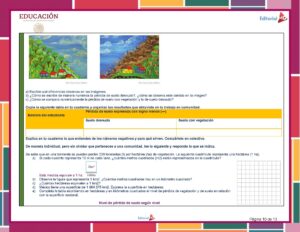 Planeación de Enero de Sexto Grado de Primaria 2025 - 2026 NEM