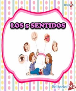 Los 5 sentidos