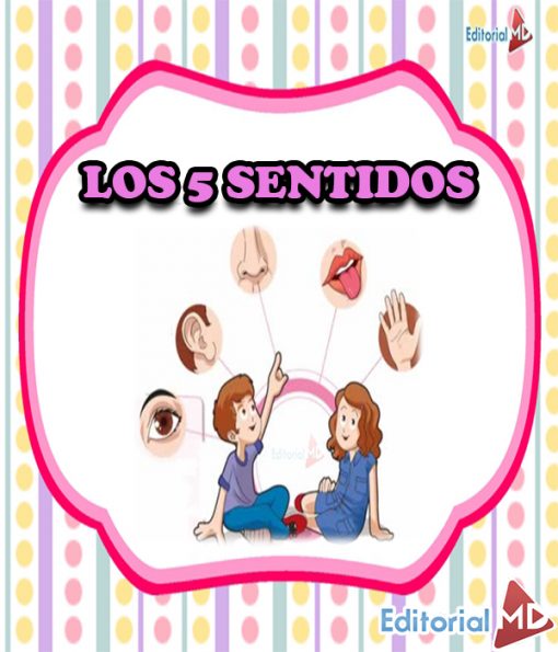 Los 5 sentidos