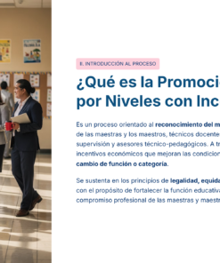 6 Que es la Promocion Horizontal por Niveles con Incentivos