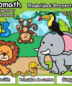 Proyecto Zoomath