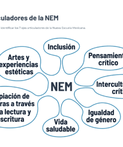 7 7 Ejes Articuladores de la NEM