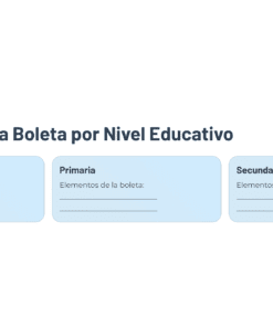 9 Elementos de la Boleta por Nivel Educativo