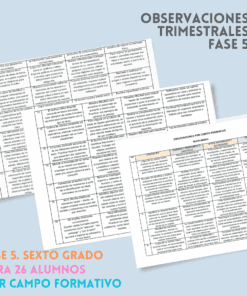 Sobre un fondo azul claro aparecen tres documentos con tablas que contienen texto. El título reza "Observaciones Trimestrales Fase 5" y un texto en color debajo destaca la información para sexto curso, 26 alumnos, por áreas temáticas.