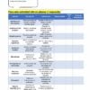 Curso Contestado "El Aprendizaje Basado en Problemas en el Campo Formativo De lo Humano y lo Comunitario" 32 Una hoja de cálculo detalla un plan de proyecto con columnas de Aspecto, Descripción, Lineamientos, entre otros. Incorporando elementos del Curso Contestado