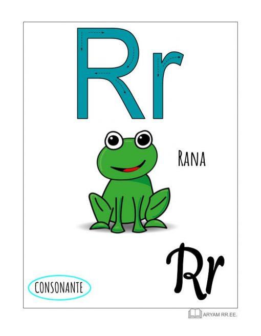 Flashcard educativa del Aprendo el Abecedario. Ilustrado que presenta la letra "R" con una colorida ilustración de una rana verde, etiquetada como "RANA" en español, resaltándola como consonante.