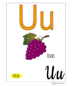 Póster educativo con la letra 'U' con una ilustración de uvas moradas con la etiqueta 