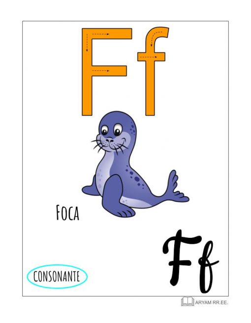 Una ilustración educativa del Aprendo el Abecedario. Ilustrado que muestra la letra "F" con la palabra "Foca" (sello en español) y una imagen de un lindo sello morado, resaltándolo como consonante.