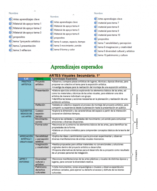 Un documento educativo que describe el "Aprendizaje artístico esperado" en artes visuales para la educación secundaria, dividido en secciones con viñetas y categorización por temas y elementos. Planeación ANUAL Artes Visuales 1° de Secundaria