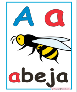Una tarjeta didáctica educativa que presenta la 'a' mayúscula, la 'a' minúscula y la palabra 'abeja' en letras minúsculas, junto con una imagen colorida de una abeja.
abecedario