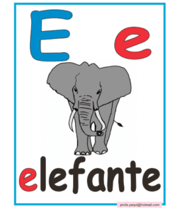 Tarjeta didáctica de Abecedario con la letra 
