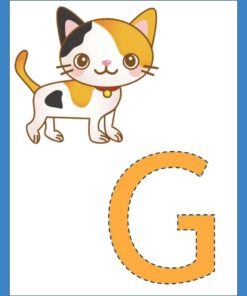 Ilustración de un simpático gato calicó estilo caricatura con una campana en el cuello, parado junto a un gran Abecedario ABC naranja con un contorno discontinuo.