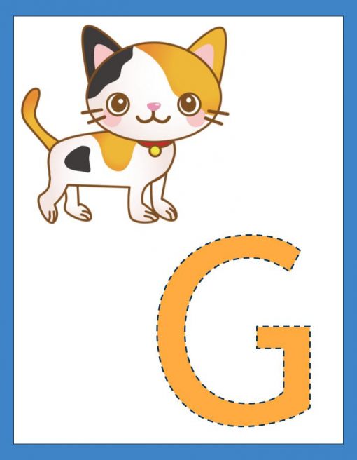 Ilustración de un simpático gato calicó estilo caricatura con una campana en el cuello, parado junto a un gran Abecedario ABC naranja con un contorno discontinuo.
