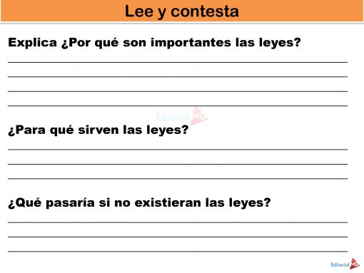 Actividad de Tipos De Leyes