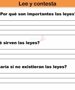 Actividad de Tipos De Leyes