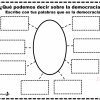 Actividad de la democracia