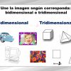 Actividades bidimensionales y tridimensionales