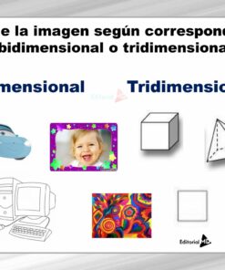 Actividades bidimensionales y tridimensionales