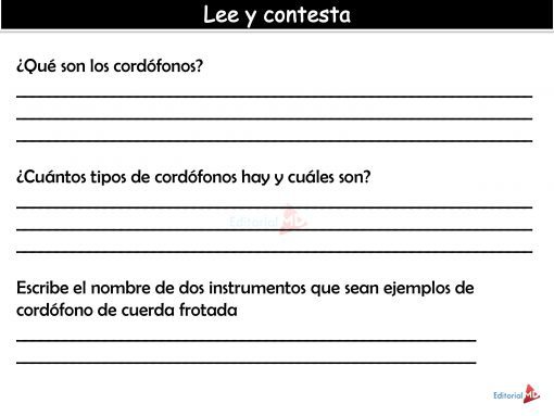 Actividades de Cordófonos