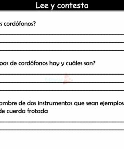 Actividades de Cordófonos