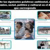 Actividades de Diferencias De Calidad De Vida