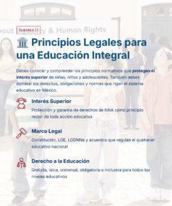 Una infografía en español titulada 