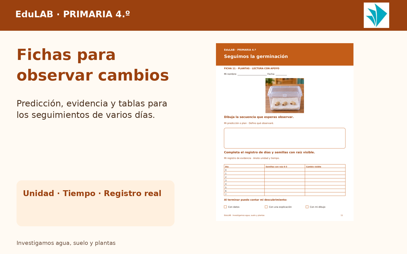 Investigamos Agua, Suelo y Plantas | 4.º de Primaria | 20 Experiencias con Fichas, Guías, Word, PowerPoint y Portal HTML 3 Investigamos Agua, Suelo y Plantas | 4.º de Primaria | 20 Experiencias con Fichas, Guías, Word, PowerPoint y Portal HTML - Imagen 3