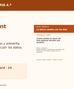 Investigamos Agua, Suelo y Plantas | 4.º de Primaria | 20 Experiencias con Fichas, Guías, Word, PowerPoint y Portal HTML 12 Agua Suelo y Plantas Promocional 05