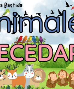 Animales Abecedario