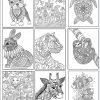 AnimalLovers img1